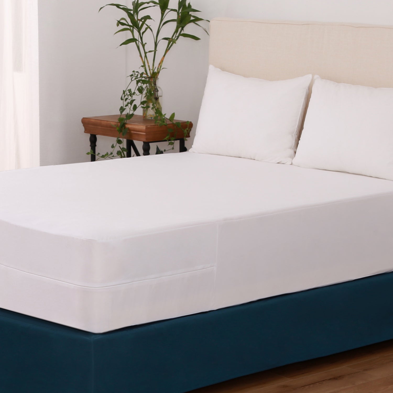 Bed bugs: Do mattress encasements help?
